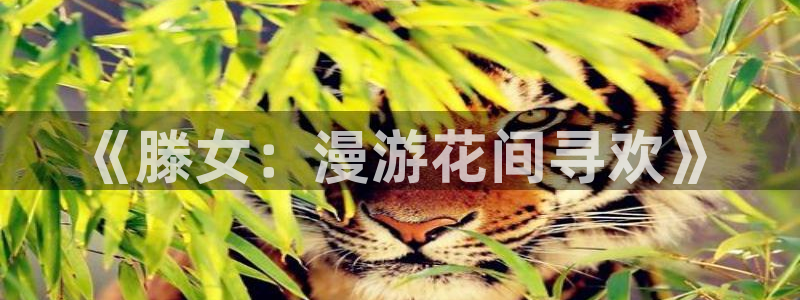 二次元美女被x羞羞漫画：《滕女：漫游花间寻欢》